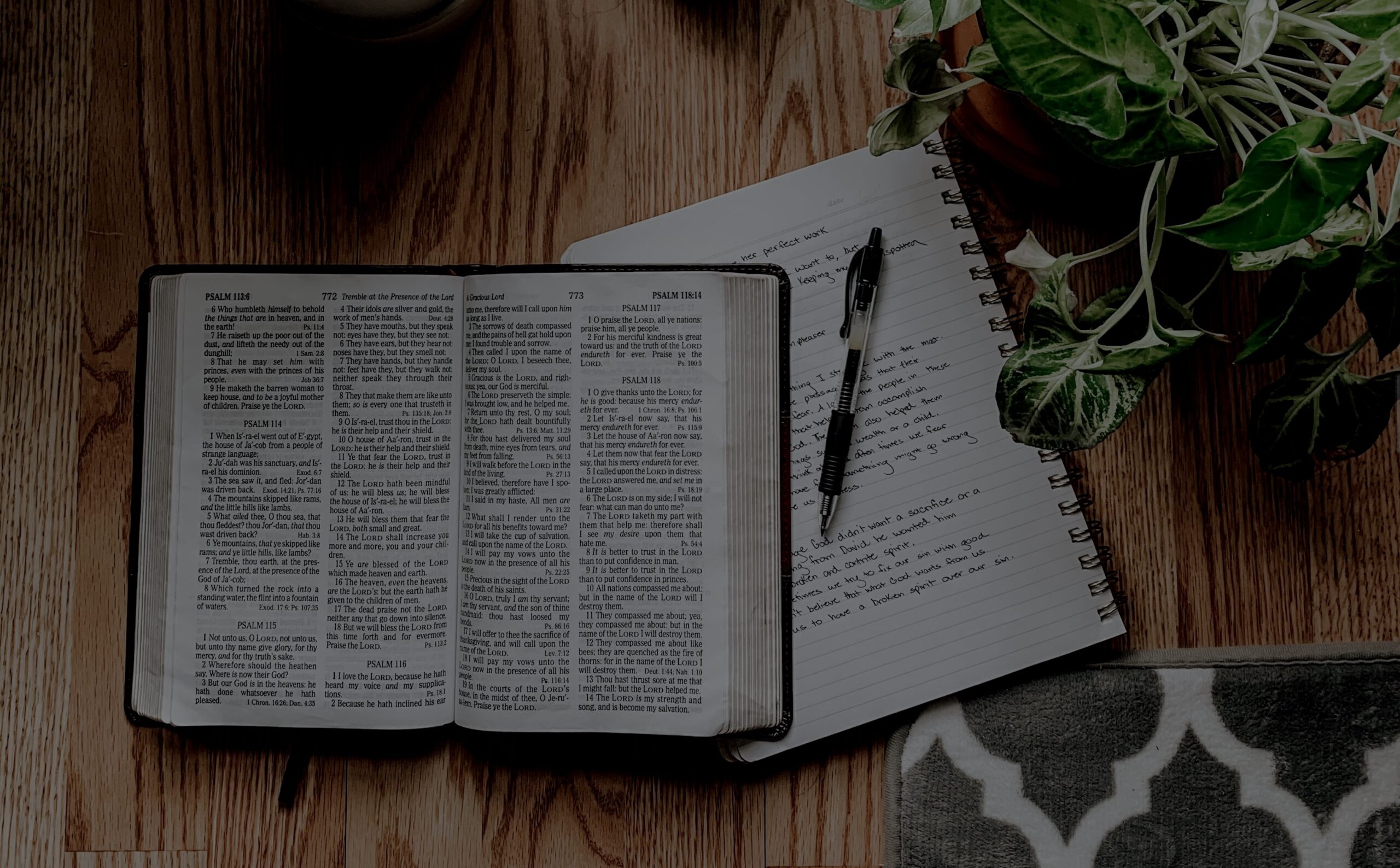 8 Principles For Reading The Bible Well (Proverbs 2)