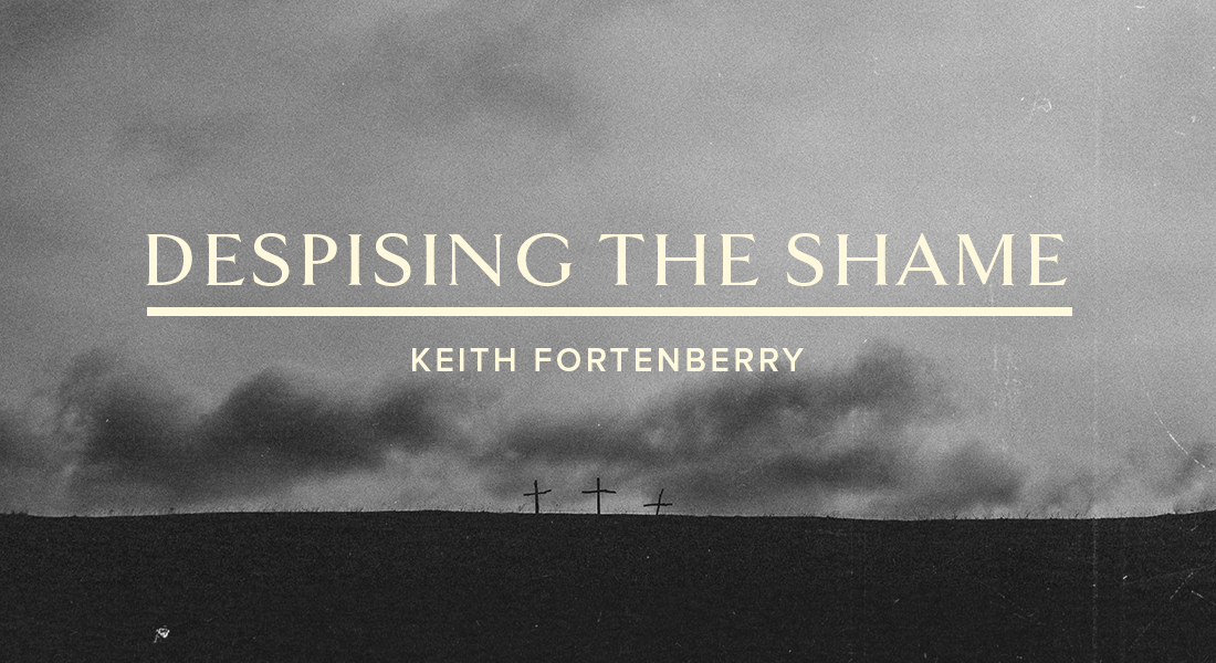 Despising the Shame