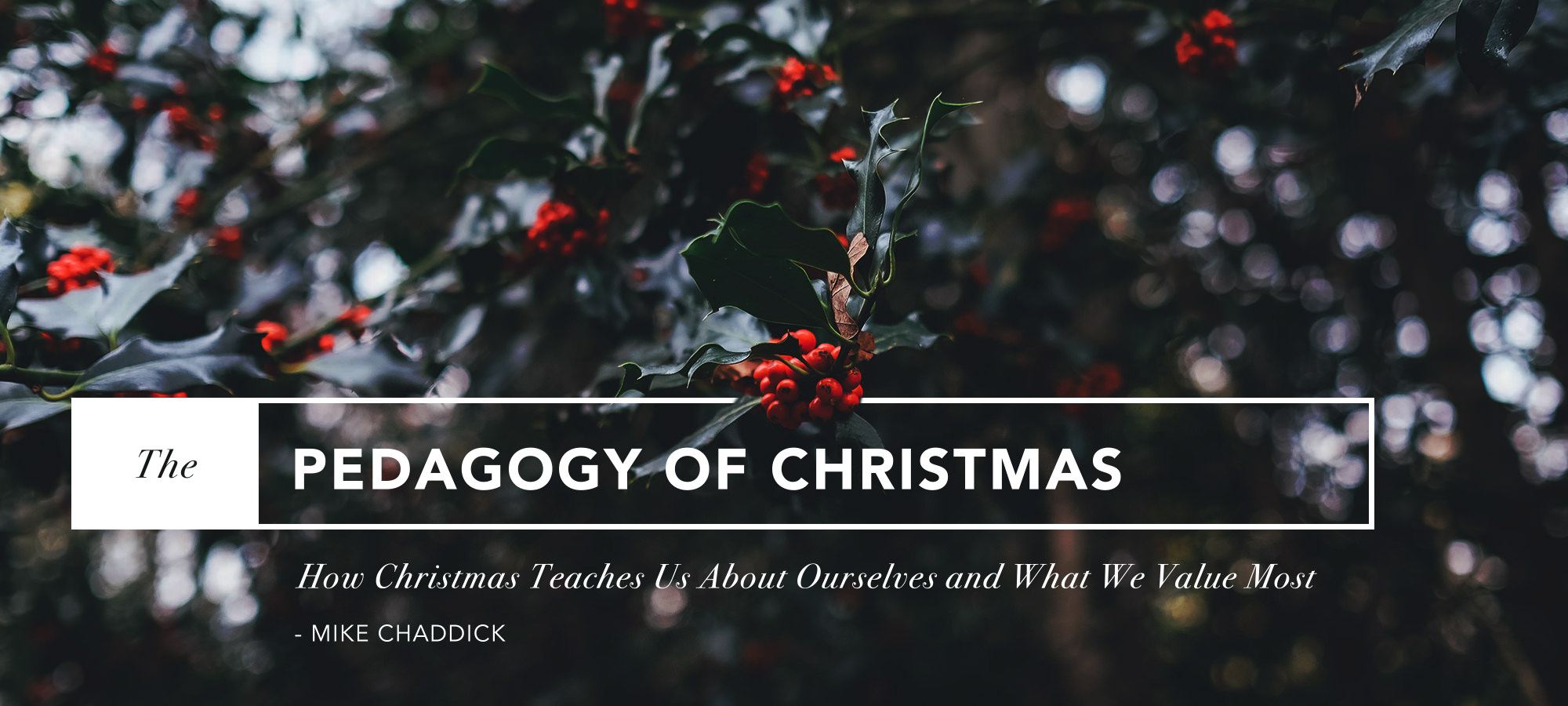 The Pedagogy of Christmas: How Christmas Teaches Us About Ourselves, and What We Value Most