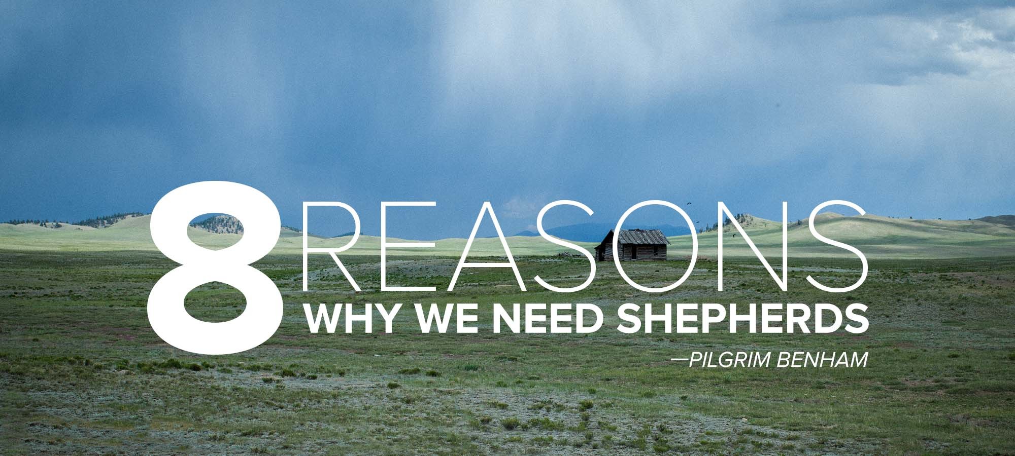 Eight Reasons Why We Need Shepherds