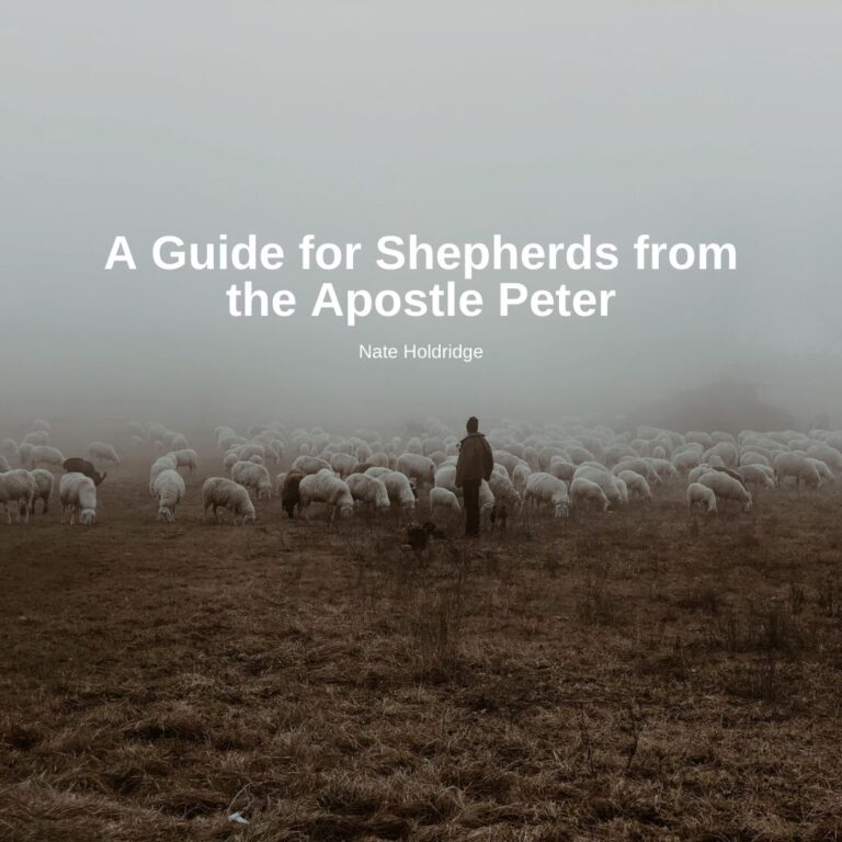 A Guide for Shepherds from the Apostle Peter