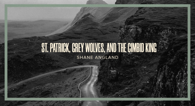 St. Patrick, Grey Wolves, and the Cimbid King
