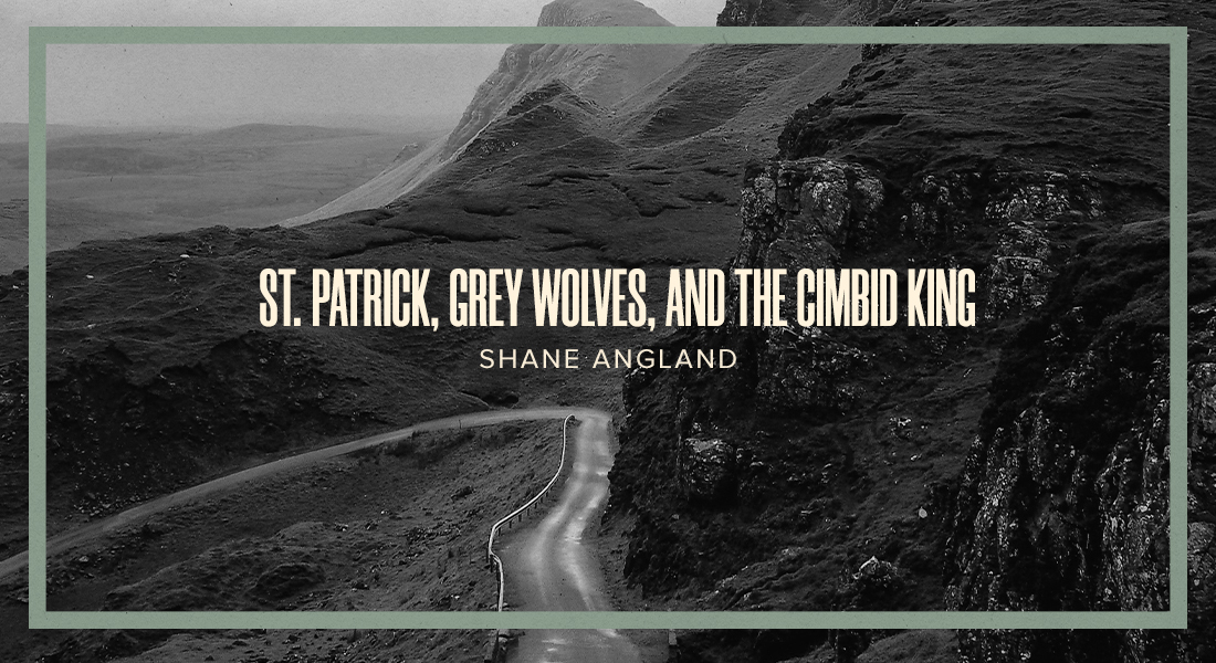 St. Patrick, Grey Wolves, and the Cimbid King